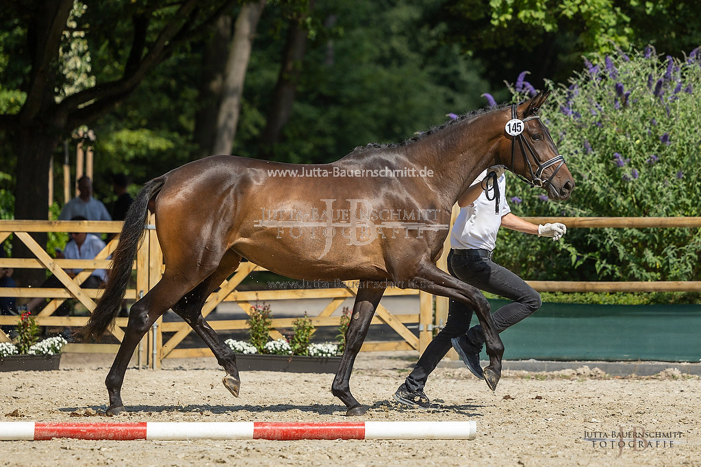 Preview 23-ZStEHessen-3_Koenigsgala_JB_04369.jpg