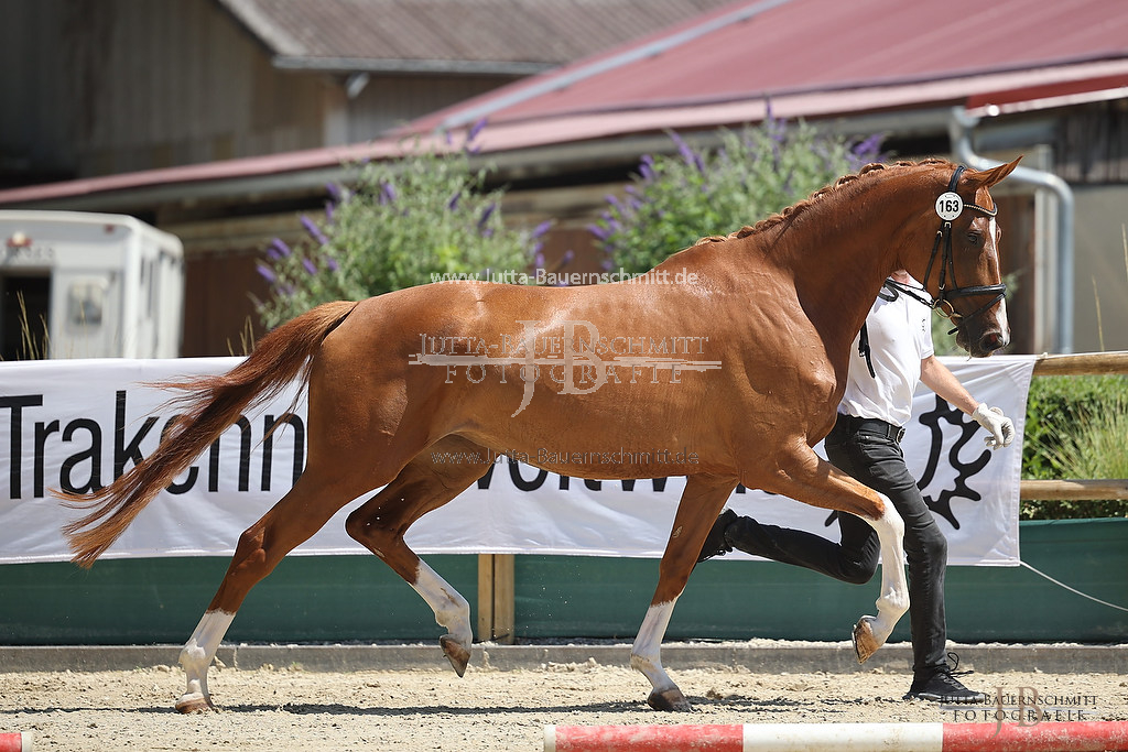 Preview 23-ZStEHessen-4_GioiaCuoreRosso_JB_03618.jpg