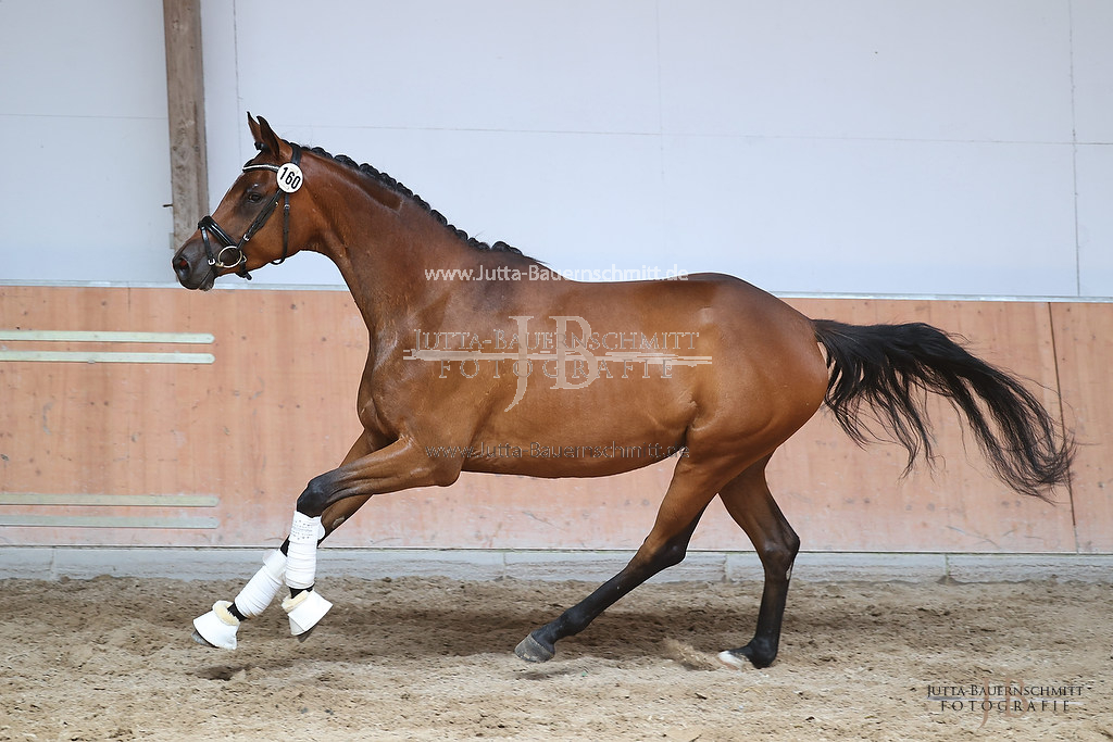 Preview 23-ZStEHessen-4_HighHopes_JB_03345.jpg