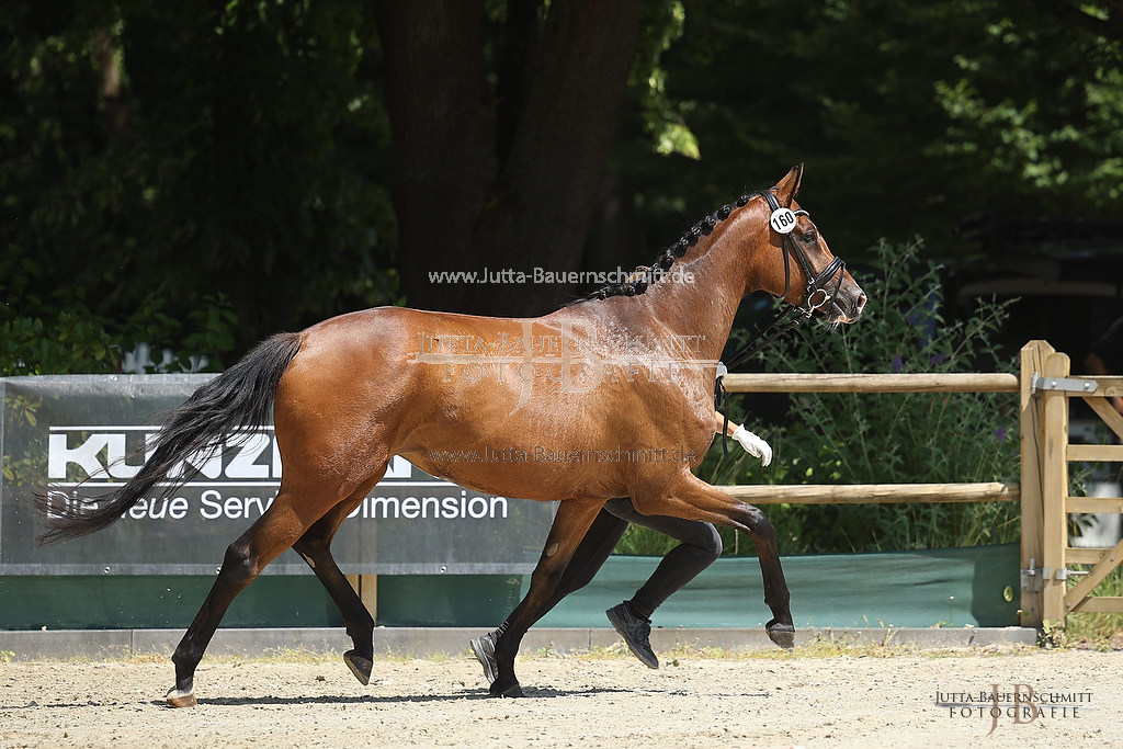 Preview 23-ZStEHessen-4_HighHopes_JB_03526.jpg