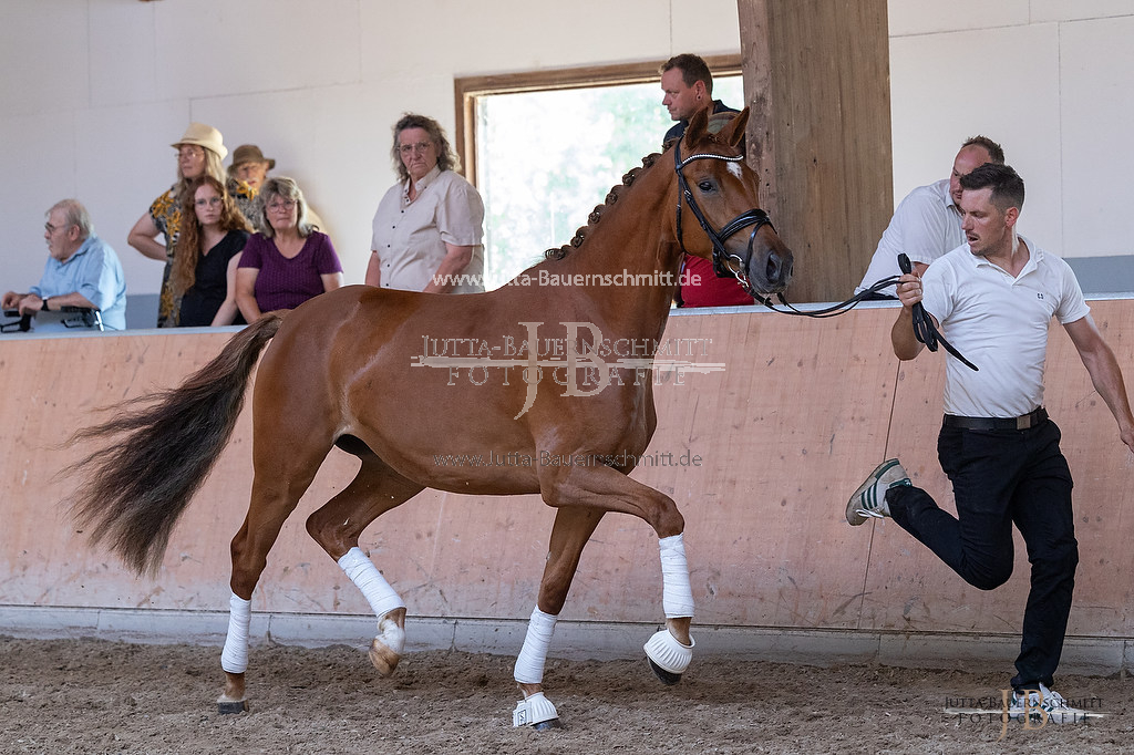 Preview 23-ZStEHessen_Kattenau_JB_03391.jpg