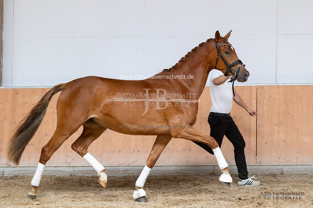 Preview 23-ZStEHessen_Kattenau_JB_03402.jpg