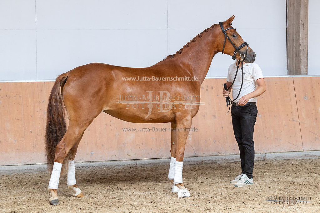 Preview 23-ZStEHessen_Kattenau_JB_03415.jpg