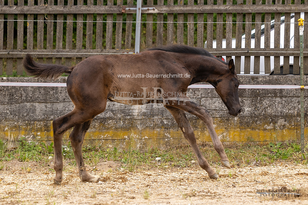 Preview 23-Steiner_OnTimesJanaS_JB_07757.jpg