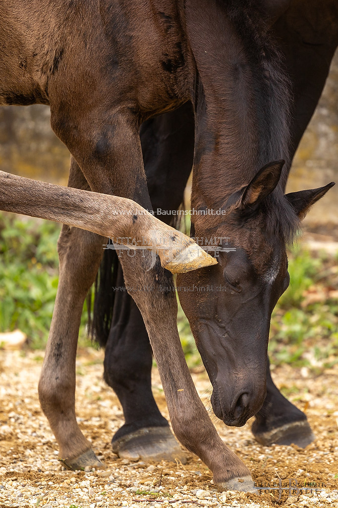 Preview 23-Steiner_OnTimesJanaS_JB_07849.jpg