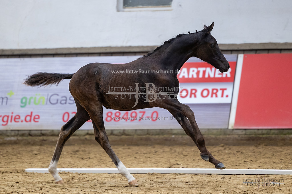 Preview 23-ZStE-RLP-F-Arosa_JB_30762.jpg