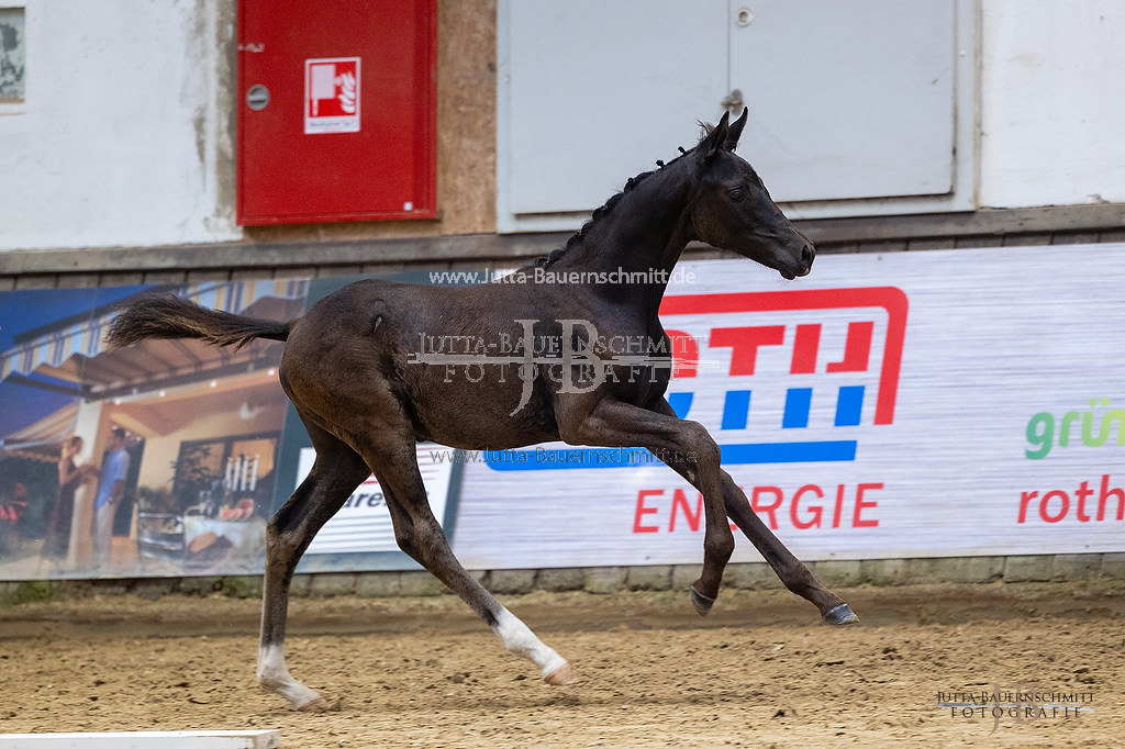 Preview 23-ZStE-RLP-F-Arosa_JB_30822.jpg