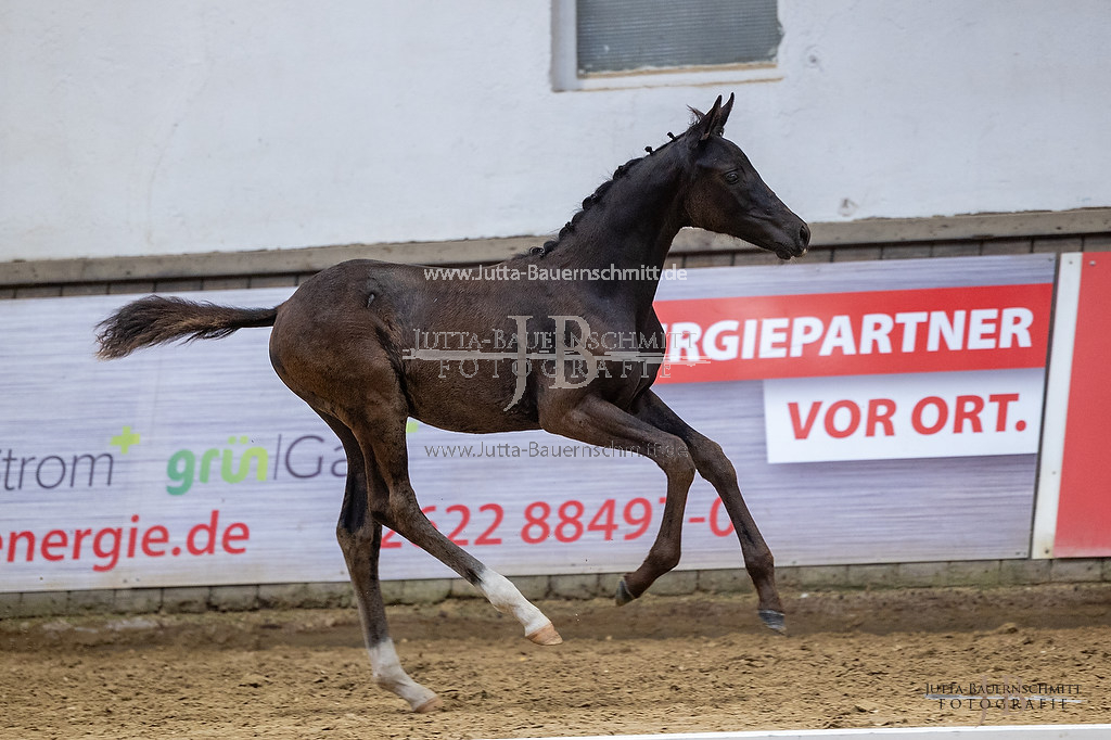 Preview 23-ZStE-RLP-F-Arosa_JB_30831.jpg