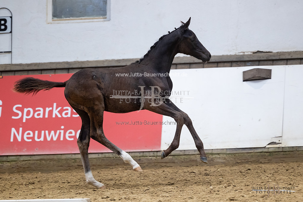 Preview 23-ZStE-RLP-F-Arosa_JB_30841.jpg