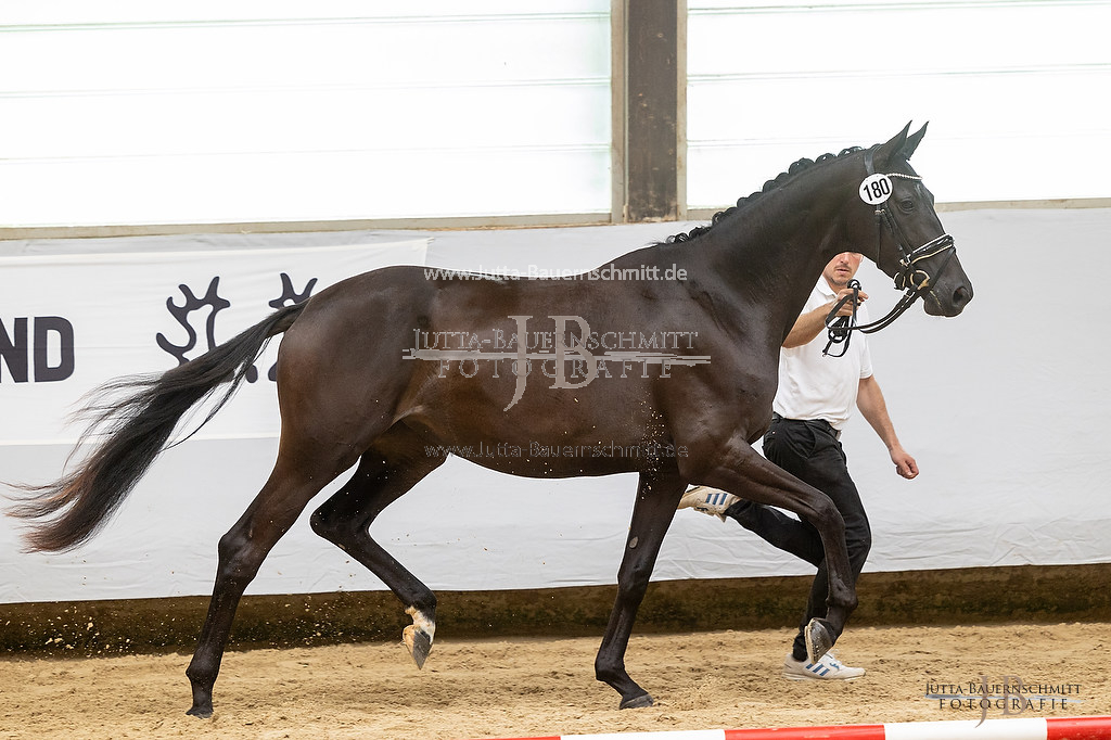 Preview 23-ZStEBW-3_Pastorale_JB_23389.jpg