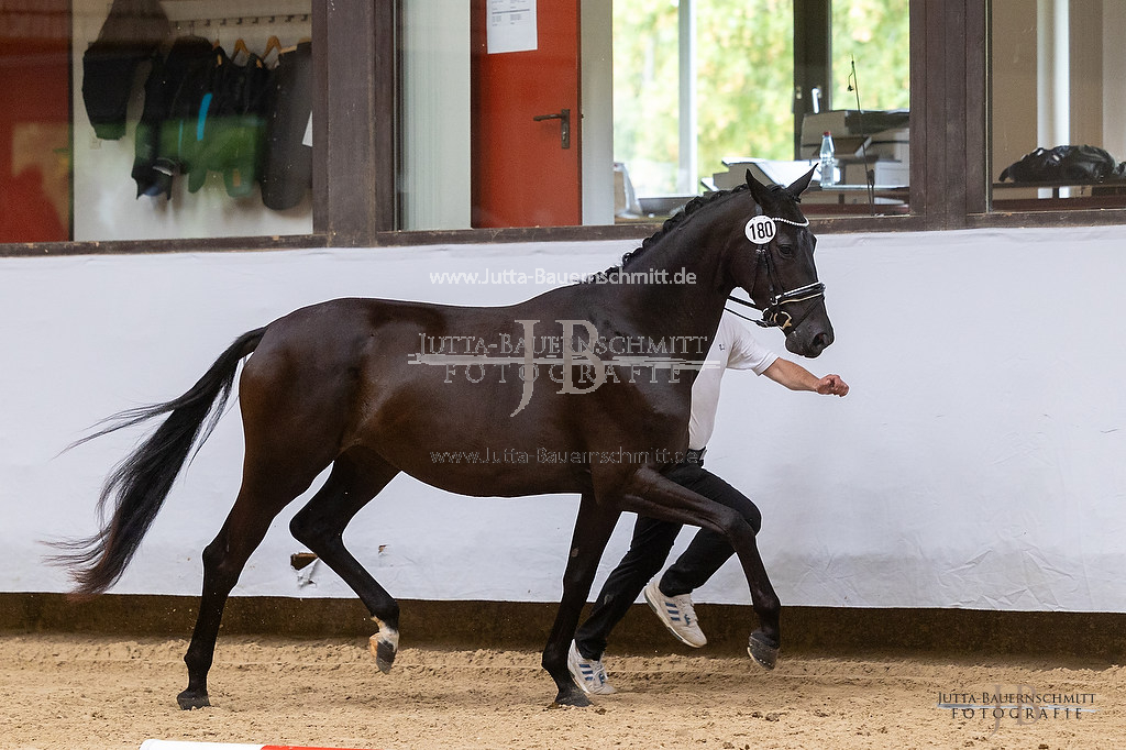 Preview 23-ZStEBW-3_Pastorale_JB_23397.jpg