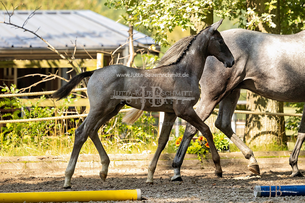 Preview 23-FCWest_BelleBlanchette_JB_24080.jpg